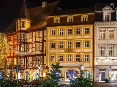 Alternative image text