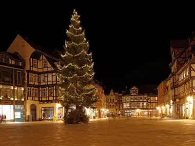 Alternative image text